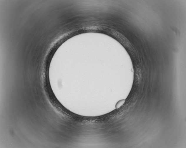 X0000110760728200907271143