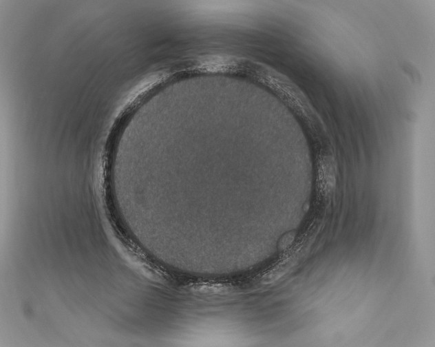 X0000110760730200907271143