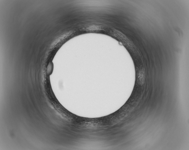X0000110760732200907271143