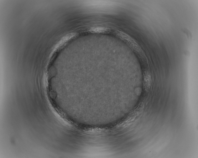 X0000110760734200907271143