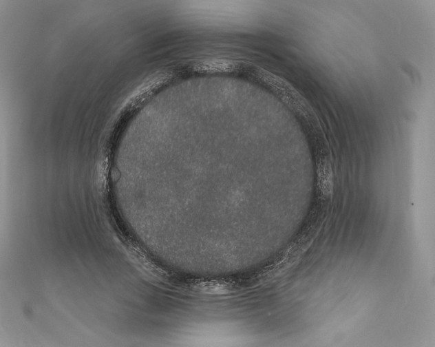 X0000110760735200907271143