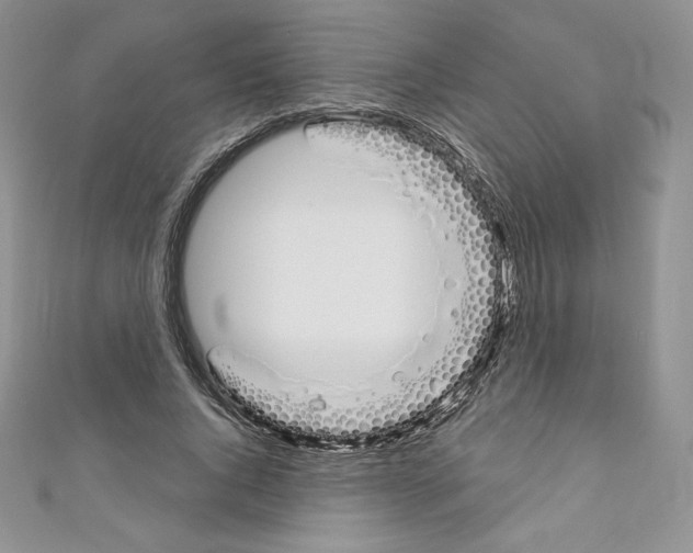 X0000110760736200907271143