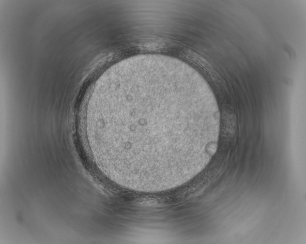 X0000110760738200907271143