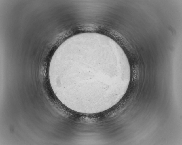 X0000110760739200907271143