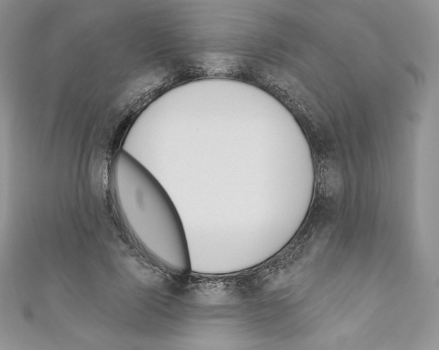 X0000110760740200907271143