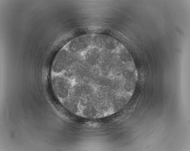 X0000110760742200907271143