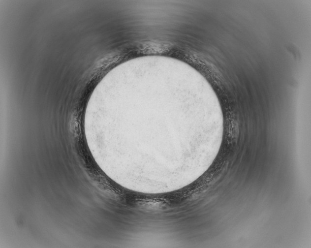 X0000110760743200907271143