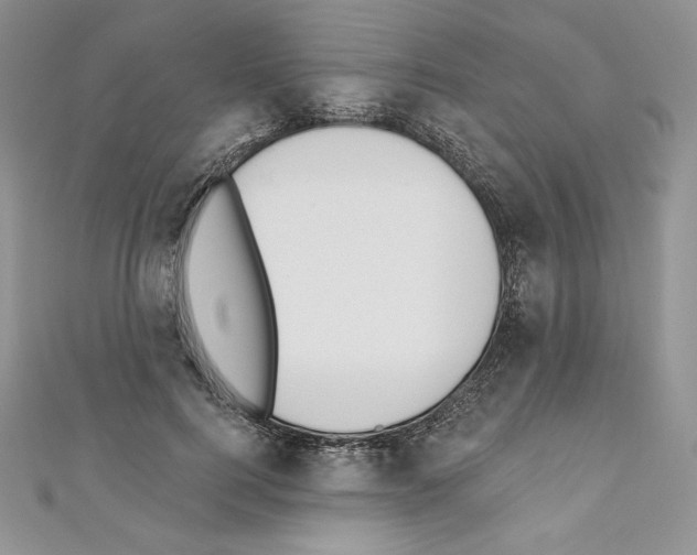 X0000110760744200907271143
