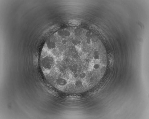 X0000110760745200907271143