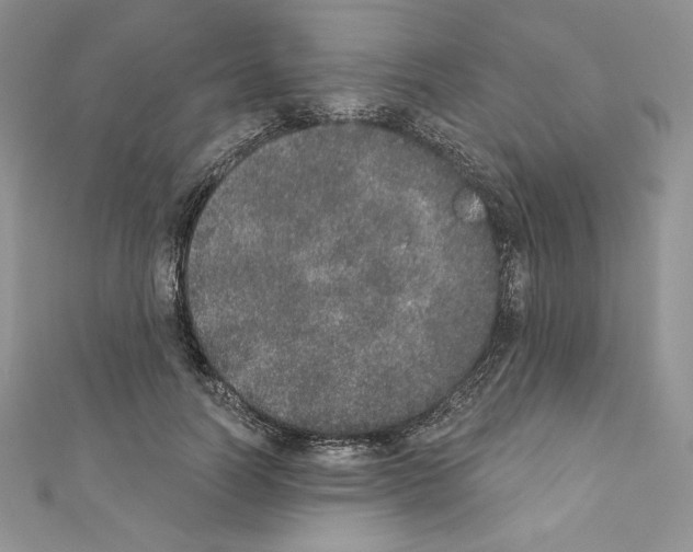 X0000110760746200907271143