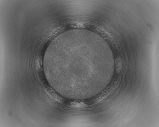 X0000110760747200907271143