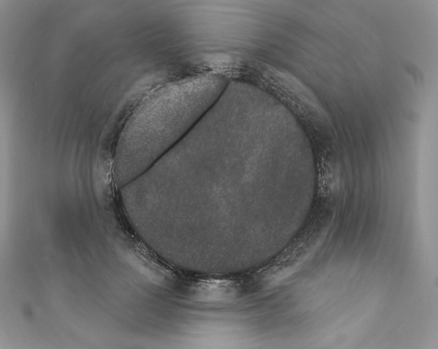 X0000110760748200907271143