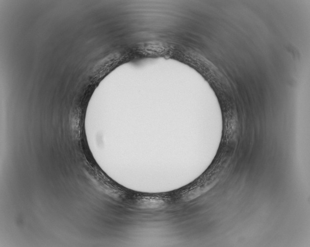 X0000110760749200907271143