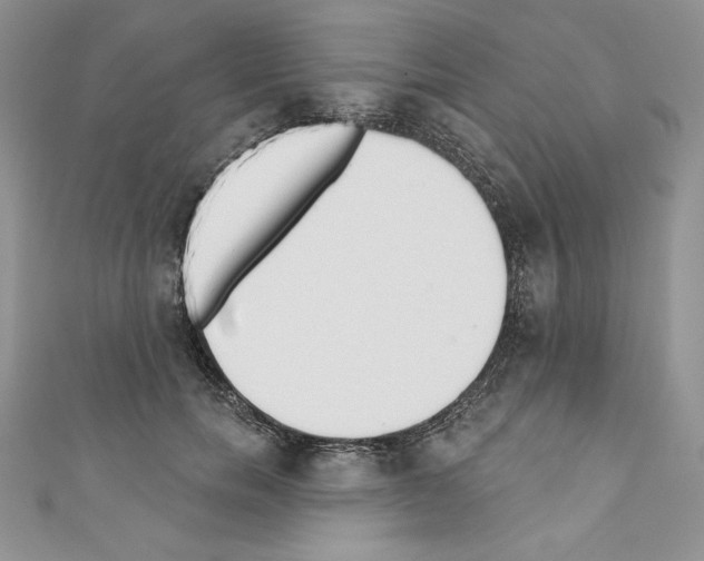 X0000110760750200907271143