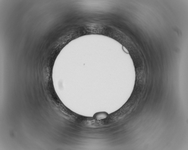 X0000110760752200907271143
