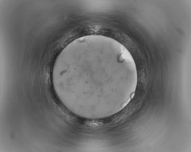 X0000110760754200907271143