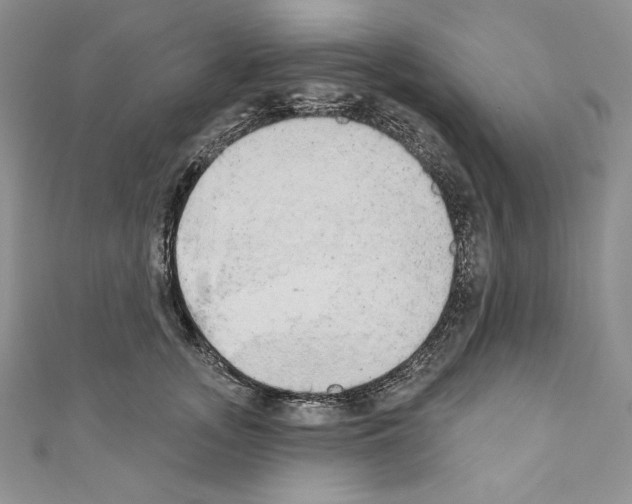X0000110760755200907271143