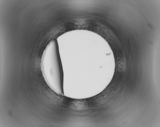 X0000110760756200907271143