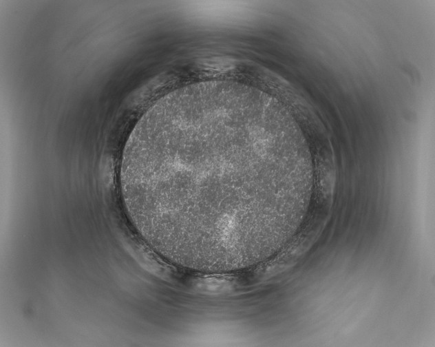 X0000110760758200907271143