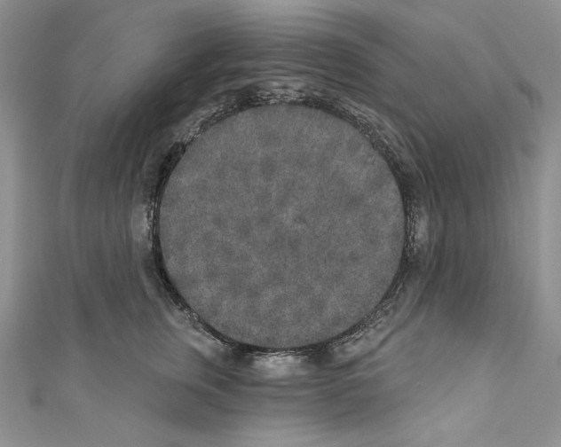 X0000110760759200907271143