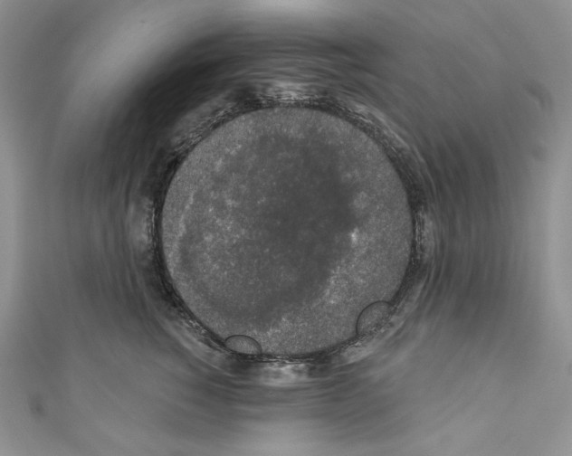 X0000110760760200907271143