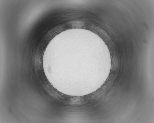 X0000110760761200907271143