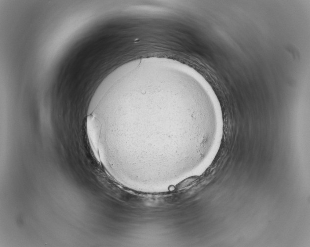 X0000110760762200907271143