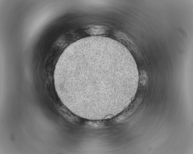 X0000110760763200907271143