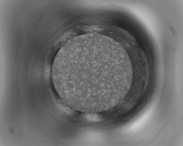 X0000110760767200907271144