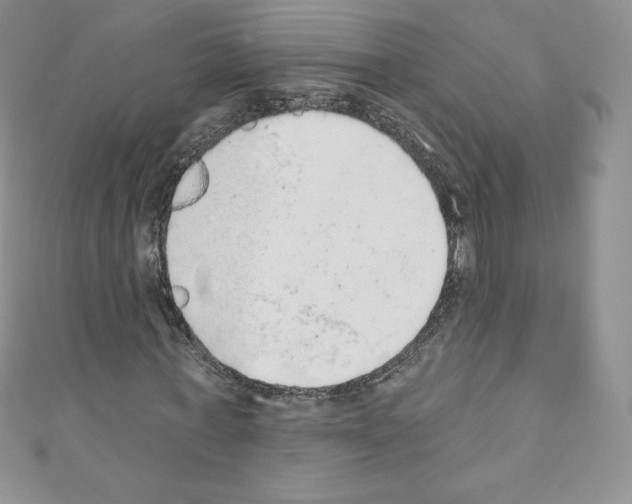 X0000110760771200907271143
