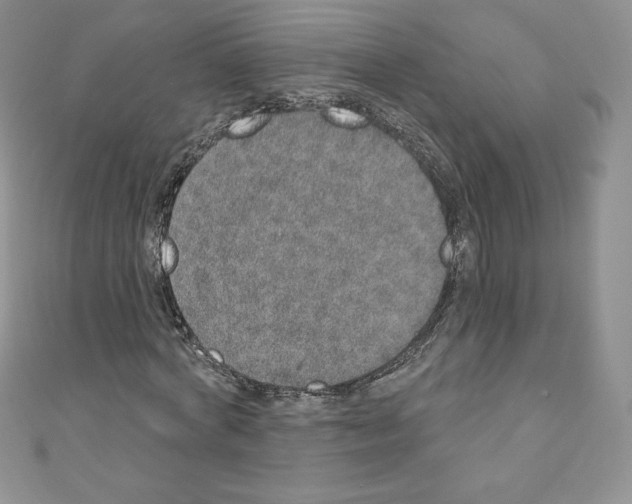 X0000110760772200907271143