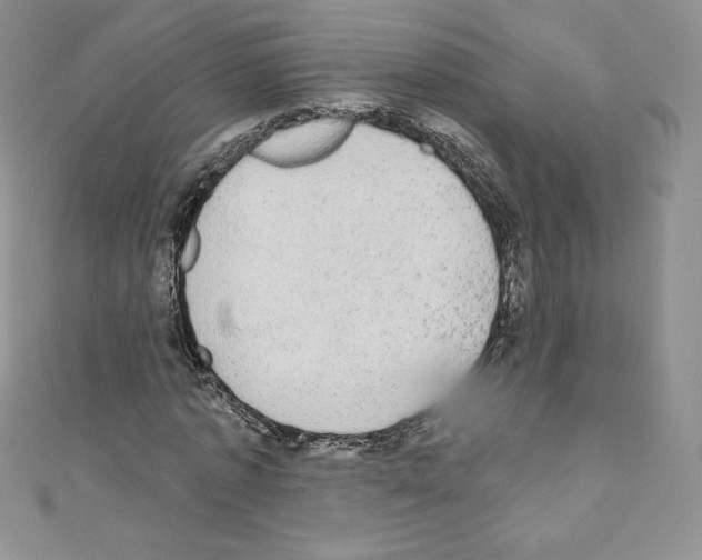 X0000110760773200907271143