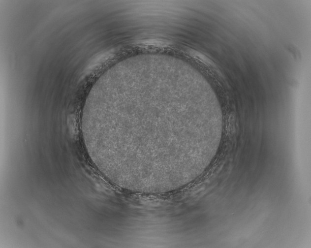 X0000110760774200907271143