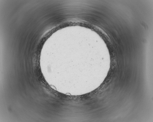 X0000110760775200907271143