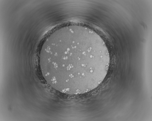 X0000110760776200907271143