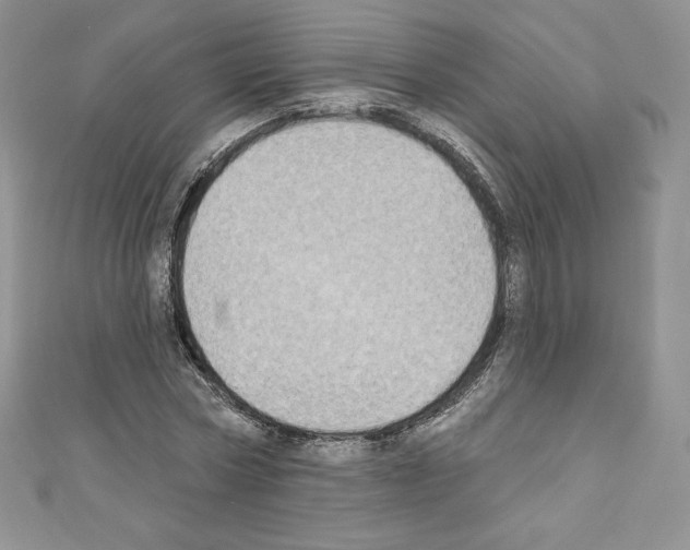 X0000110760778200907271143