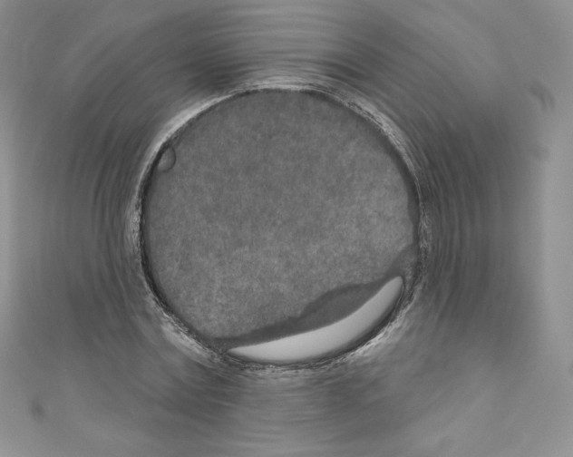 X0000110760779200907271143