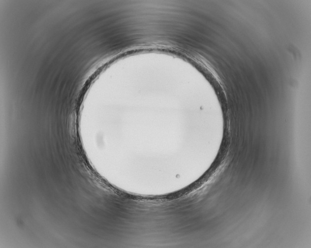 X0000110760781200907271143