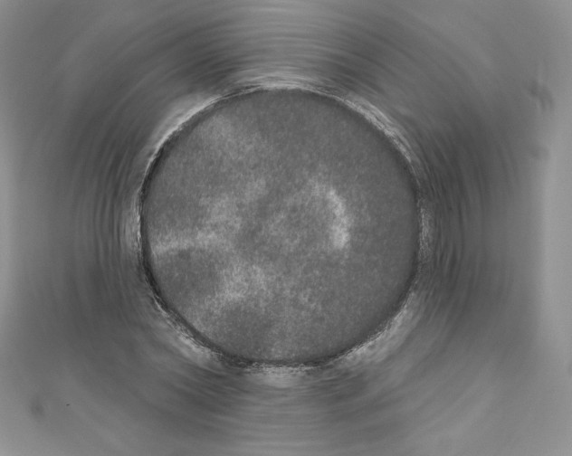 X0000110760782200907271143