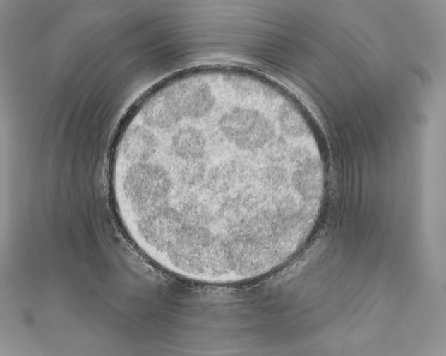 X0000110760783200907271143