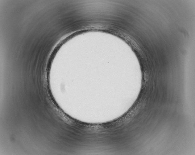 X0000110760784200907271143