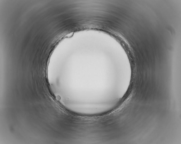 X0000110760785200907271143