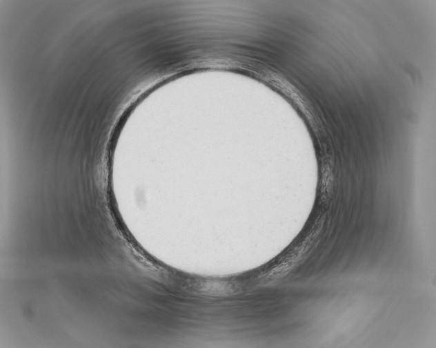 X0000110760787200907271143