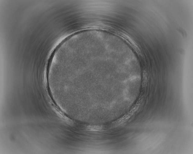 X0000110760788200907271143