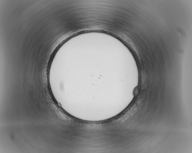 X0000110760789200907271143