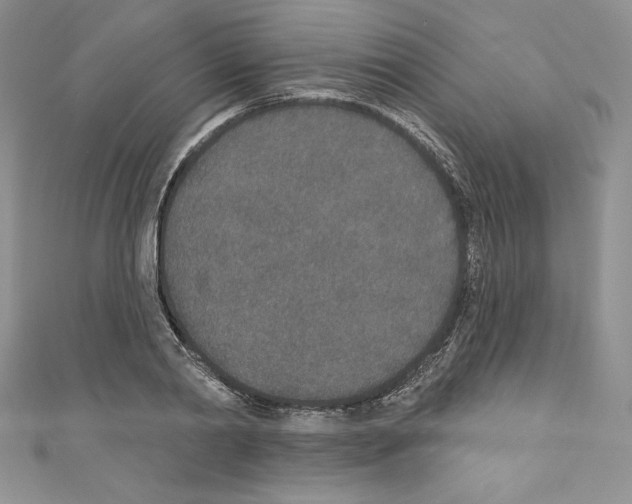 X0000110760790200907271143