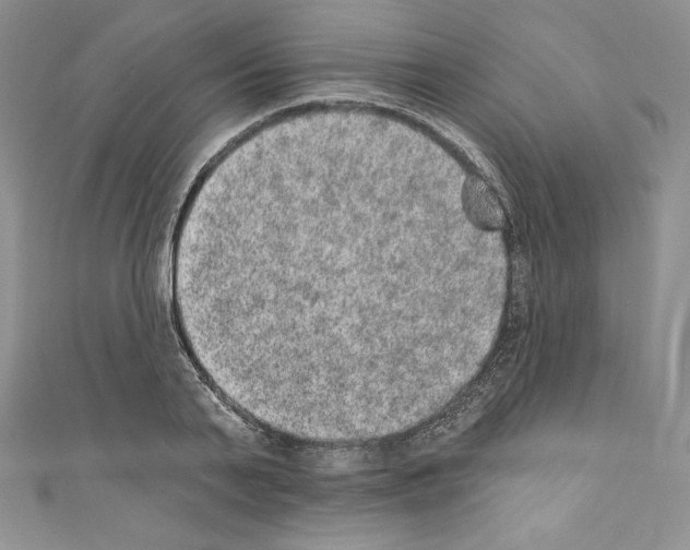 X0000110760791200907271143