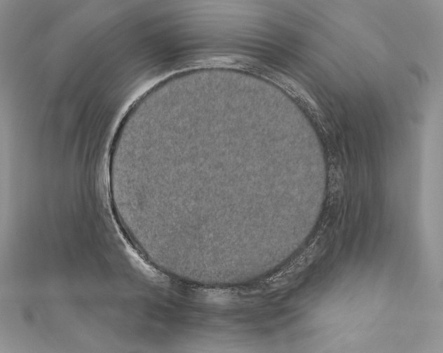 X0000110760792200907271143