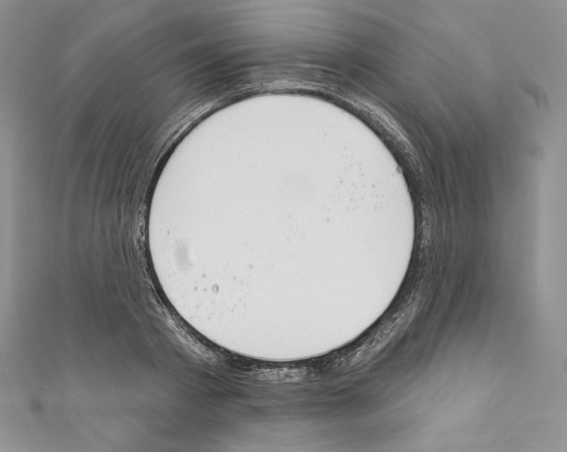 X0000110760793200907271143