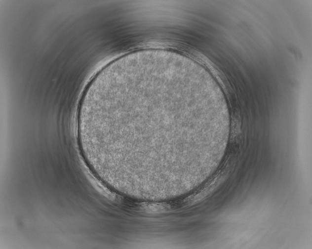 X0000110760795200907271143